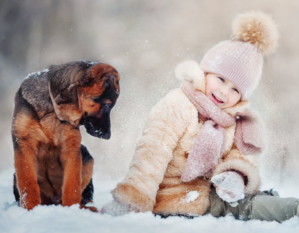 ギフトの使用イメージ